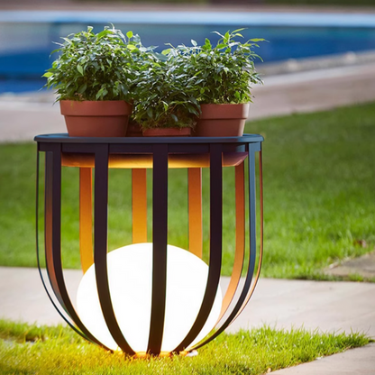 Solar Flower Stand Light – Outdoor LED with Dual Power