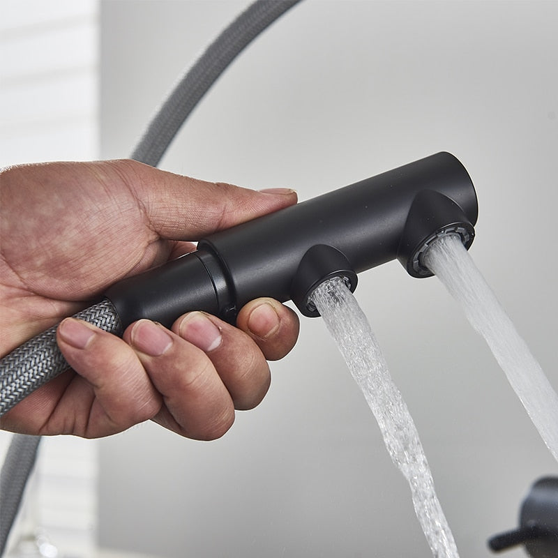 Filtered Kitchen Faucet 360 Rotation Dual Sprayer Drinking Water Tap-Kitchen Faucet-Index Bath