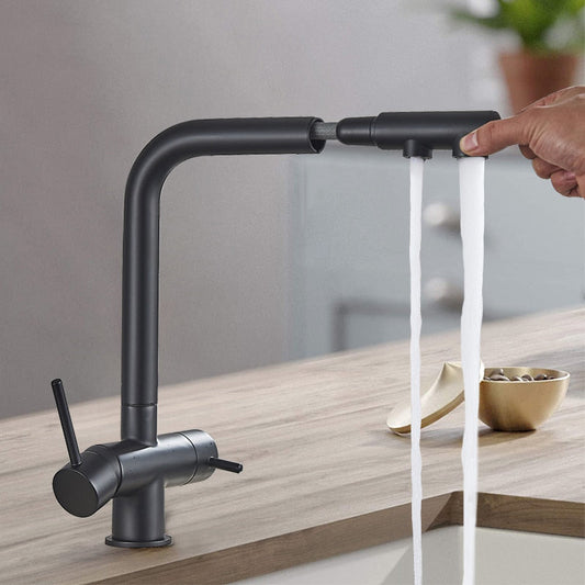 Filtered Kitchen Faucet 360 Rotation Dual Sprayer Drinking Water Tap-Kitchen Faucet-Index Bath